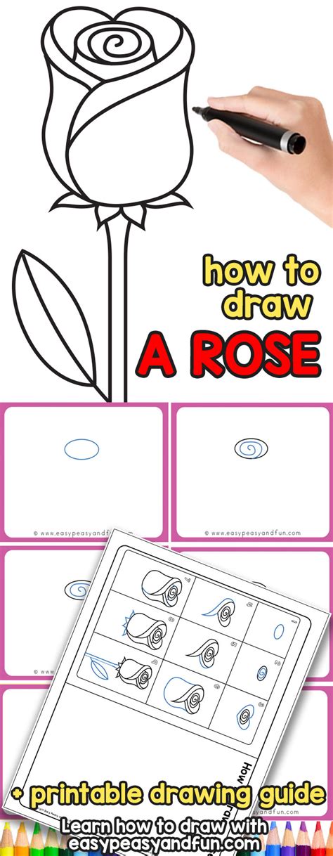 I wanted my students to write about their drawings as well…do you have any suggestions? How to Draw a Rose - Easy Step by Step For Beginners and ...
