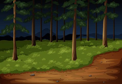 Forest Scene With Trees And Trail At Night Download Free Vectors