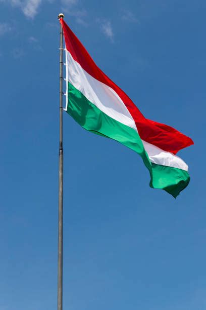 Gratis para usos comerciales ✓ no es necesario reconocimiento ✓. Bandera Hungria - Banco de fotos e imágenes de stock - iStock