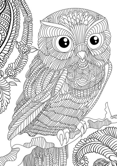 Free Owl Printable Coloring Pages
