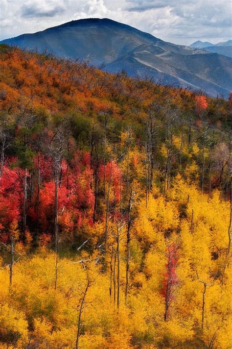 Autumn In The Wasatch Mountains By Douglas Pulsipher Landscape