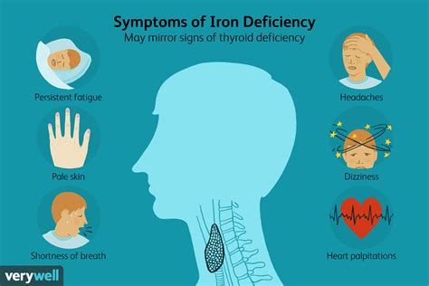 Iron Deficiency Thyroid Disease And Fatigue