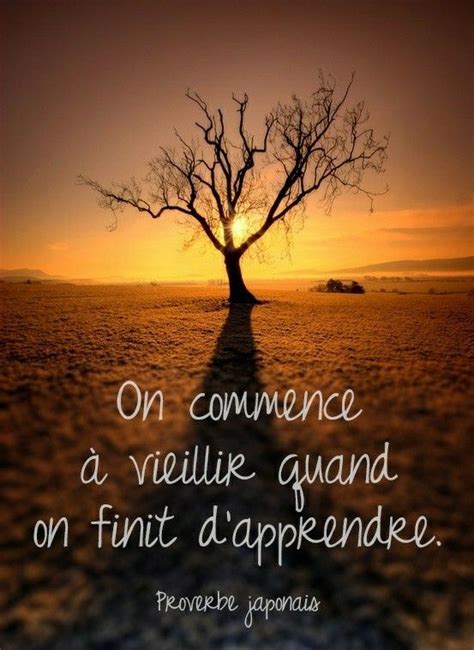 Pin By Aicha Rochdi On Quotes In French Citations En Francais French