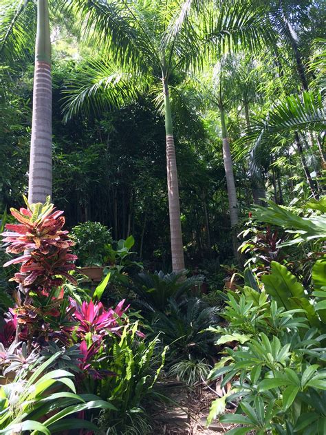 Pin by femcitizen on Tropical Gardens | Tropical backyard, Tropical garden, Small tropical gardens