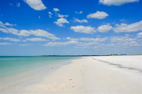 Caladesi Island State Park Shelling And White Sand Beach Paradise In