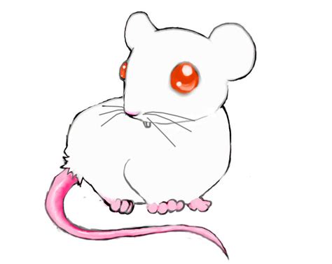 Anime Lab Mouse By Ribbonobsession On Deviantart