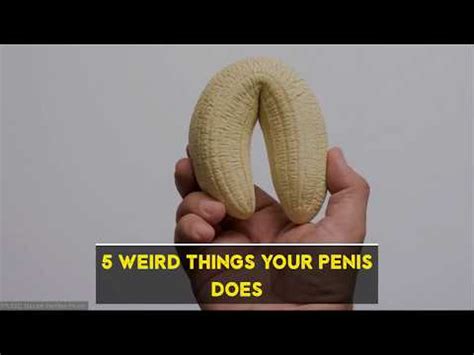 Weird Things Your Penis Does Youtube