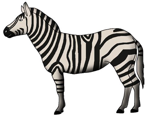 Grants Zebra Wildlife Animal Pedia Wiki Fandom