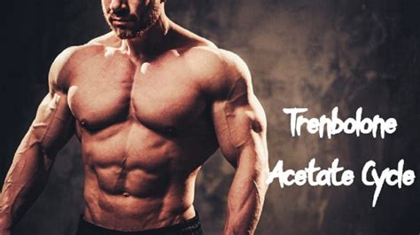 Trenbolone Acetate Cycle Popular Tren Cycle For Bulking