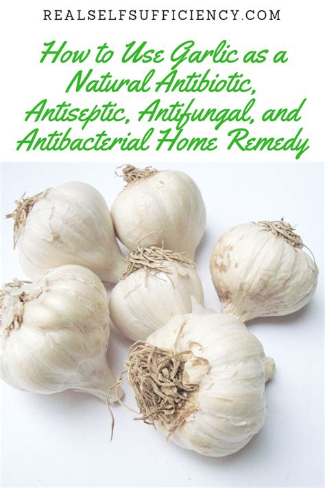 How To Use Garlic As A Natural Home Remedy Natural Antibiotics Home