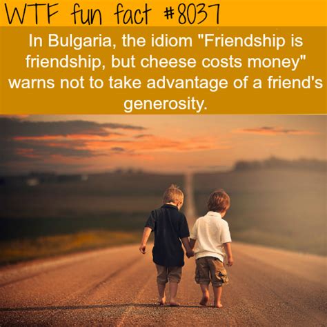 Friendship Quotes Wtf Fun Fact