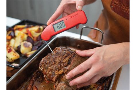 Easy Guide How To Use A Meat Thermometer 2023 Atonce