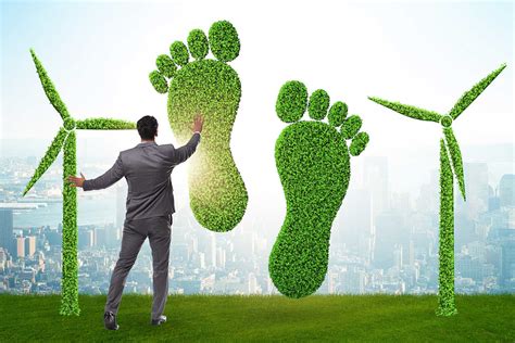 How To Reduce Your Carbon Footprint My Decorative