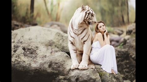 Beyond the Horizon: Witnessing the Wonders of Wildlife in the Wild