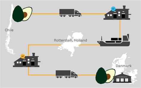 Avocados from plantations that have been convicted of water code violations are being exported to it takes an average of 70 litres of water to grow an avocado. Avocado: Die Baumbeere mit schlimmen Nebenwirkungen ...