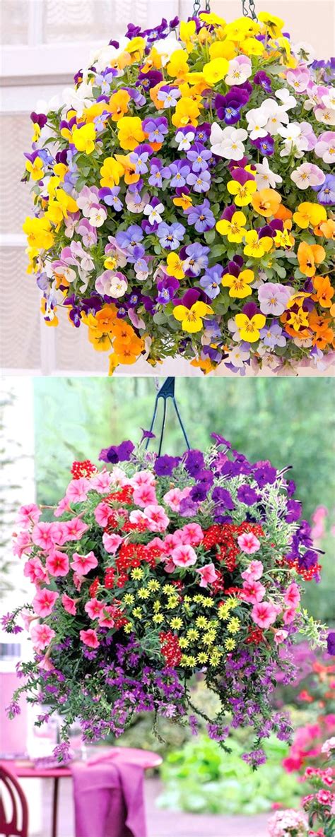 How To Plant Beautiful Flower Hanging Baskets And 20 Best Hanging