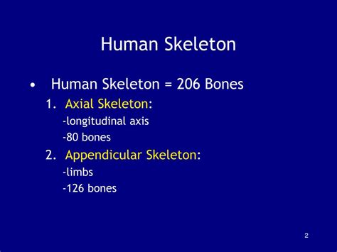 Ppt Chapter 7 The Axial Skeleton Powerpoint Presentation Free
