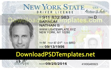 New York Drivers License Template Psd Ny Id Updated 2022
