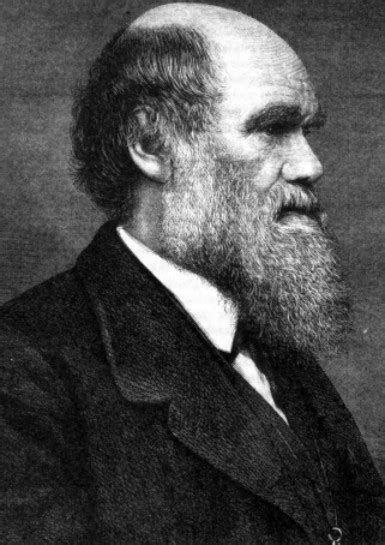 Work I Practise Charles Darwins Biography