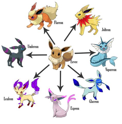 Pokemon Sword And Shield Eevee Evolutions Guide How To Evolve
