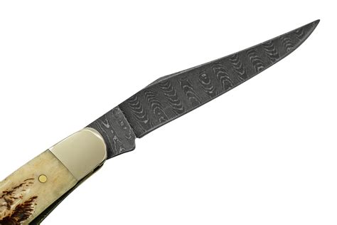 Case Muskrat 77463 Damascus Vintage Bone, pocket knife | Advantageously