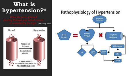Solution Pathophysiology Of Hypertension Presentation Studypool