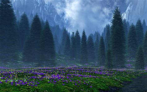 Hd Wallpaper Purple Petaled Flower Field And Pine Trees During Daytime