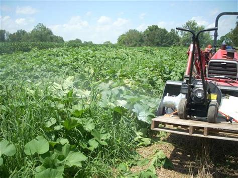Maybe you would like to learn more about one of these? Viewing a thread - Pumpkins and Irrigation
