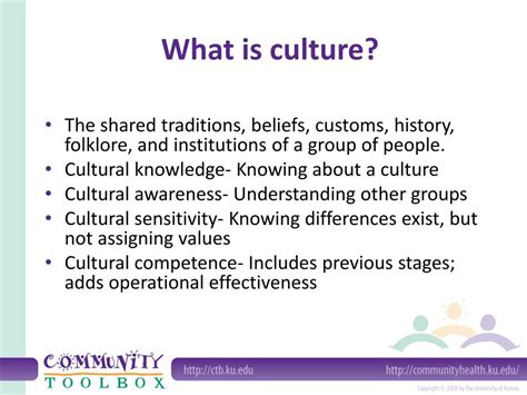Ppt Building Culturally Competent Organizations Powerpoint