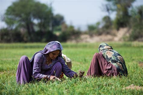Do Rural Women Work Why Womens Work Is Rendered Invisible Actionaid