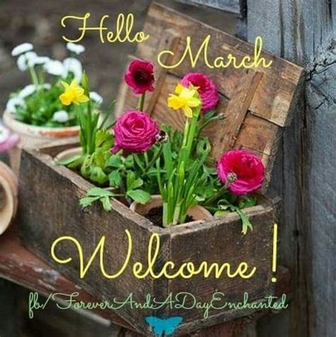 Welcome March Hello March Images Hello March