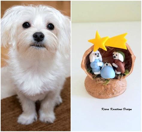 Maltese Dog Nativity Set In A Walnut Shell Nativity Scene For Etsy