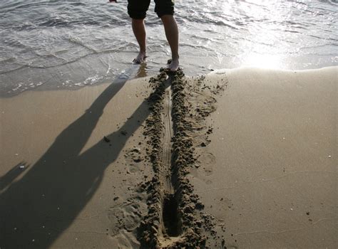 Draw A Line In The Sand Wholehearted Human