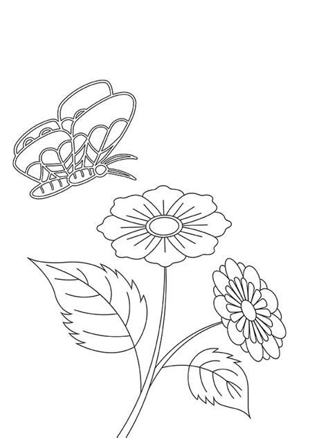 Elegant Flowers And Butterfly Coloring Page Free Printable Coloring
