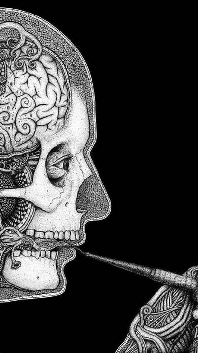Smoking Brain Pipes Surreal Human Skulls Artistic