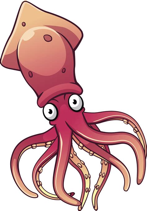 Confused About What Squid Eat Youre Not Alone Animal Sake