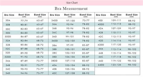 Small Bra Sizes Clearance Prices Save 57 Jlcatjgobmx