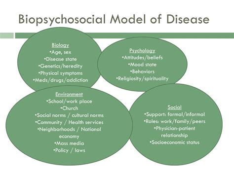 Biopsychosocial Model Session 2 A Holistic Approach To Sport Injury