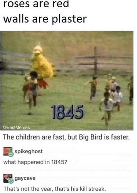 Big Bird 1845 9gag