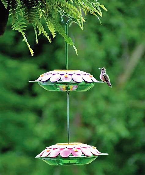 The 33 Best Hummingbird Ts For Any Occasion Birds And Blooms