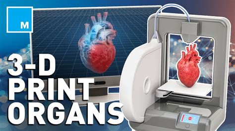 how scientists are 3d bio printing human organs youtube