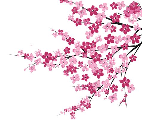 How To Draw Blossom Tree Tree Cherry Drawing Blossom Draw Japanese Easy