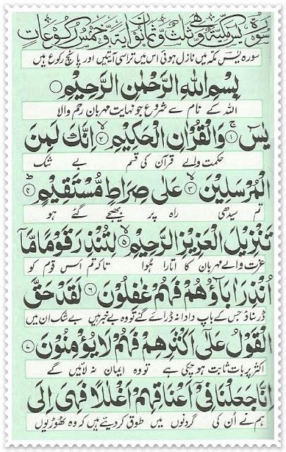 Surah Yaseen Surah Rahman Surah Waqiah Surah Mulk Tilawat Of Holy Quran