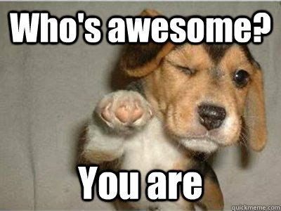 Puppy moderator has cute job. who's awesome - Google Search | Funny animal memes ...