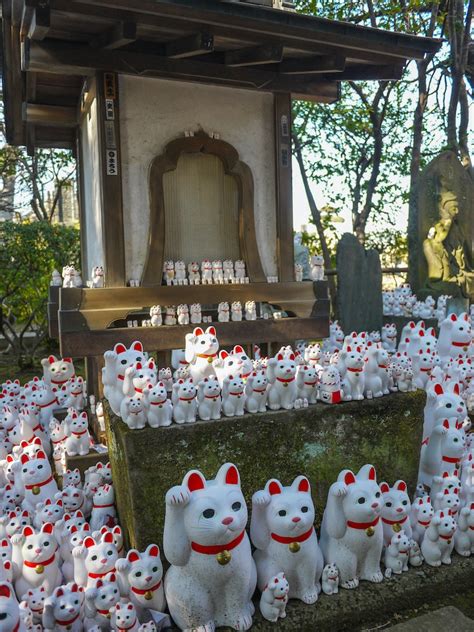 Maneki Neko Discover The Fascinating History Of The Japanese Lucky Cat