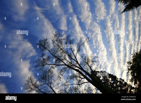 Stratocumulus Undulatus Clouds Stock Photo Alamy