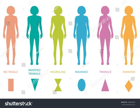 Your body type could be preventing you from having the body you want. Female Body Types Anatomy,Woman Front Figure Shape, Vector ...