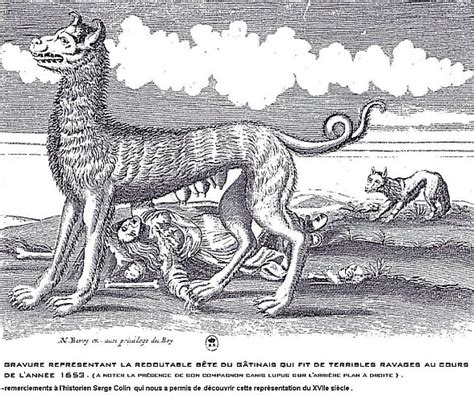 Histoires Des Loups Les Loups Autour De Paris