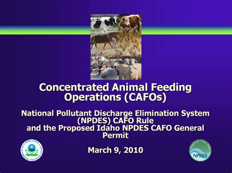 Concentrated Animal Feeding Operations Cafos National Pollutant