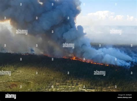 Taiga Forest Fires Hi Res Stock Photography And Images Alamy